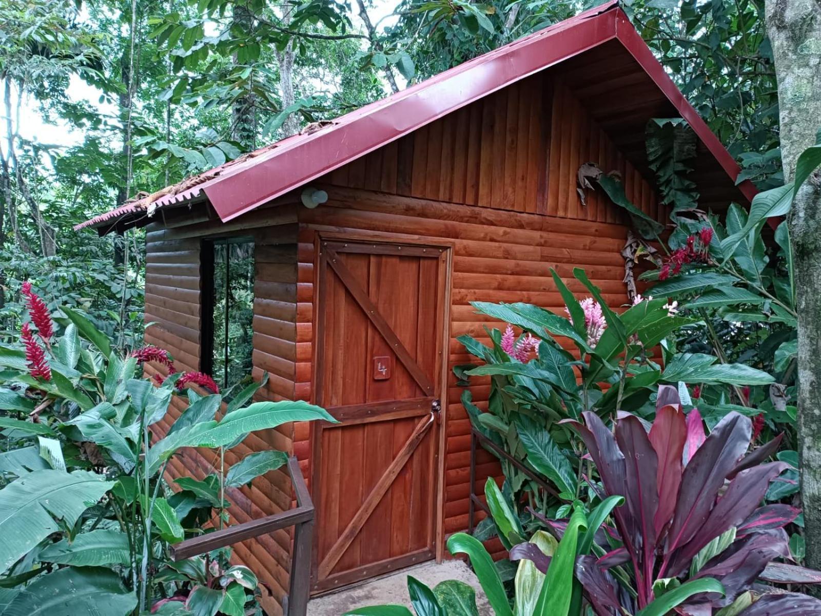 Arenal Rustic Lodge La Fortuna 외부 사진