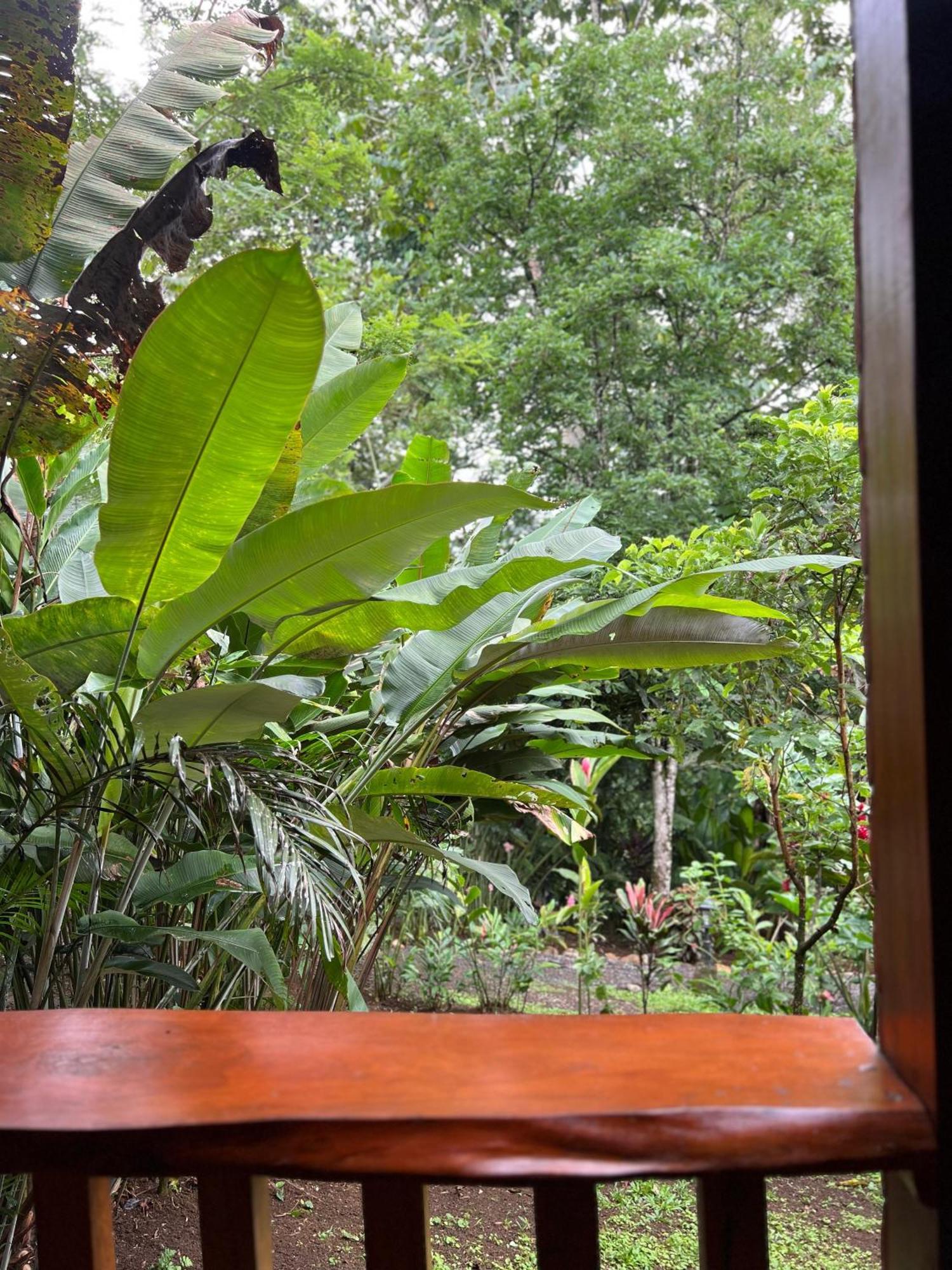 Arenal Rustic Lodge La Fortuna 외부 사진