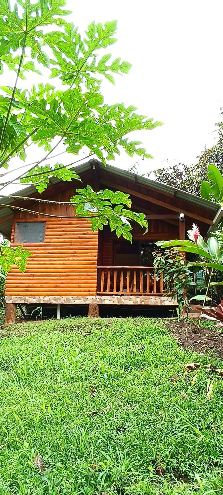 Arenal Rustic Lodge La Fortuna 외부 사진