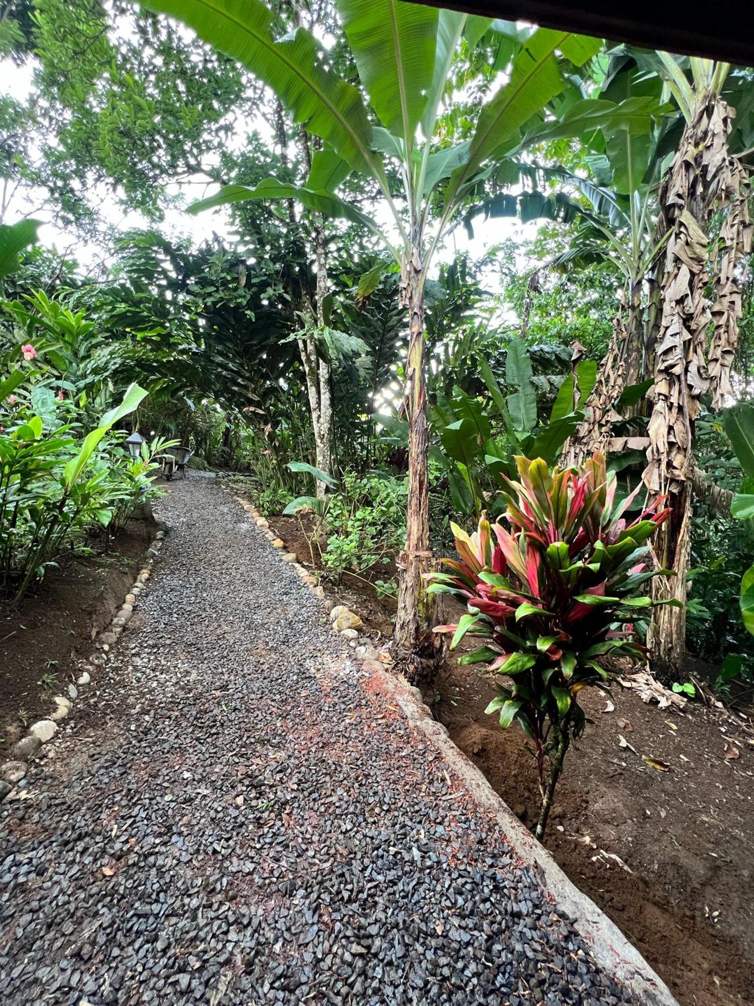 Arenal Rustic Lodge La Fortuna 외부 사진